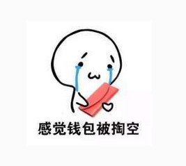 感覺(jué)錢包被掏空.png
