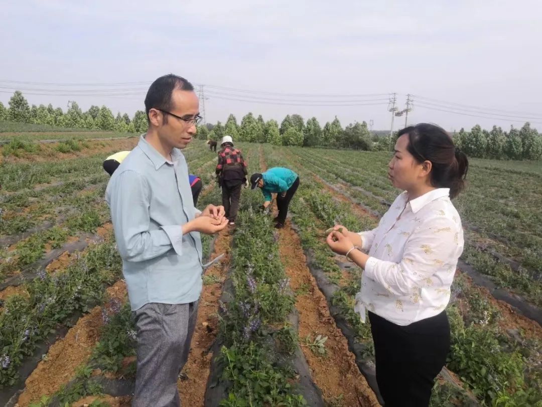 古天乐代言太阳集团网址